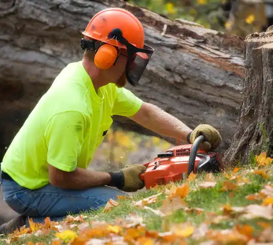 tree services New Richland